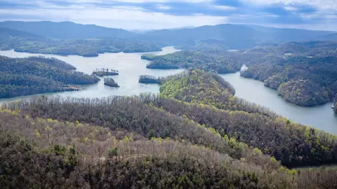 11 Ac Tbd E Of Hwy 67, Butler, TN 37640