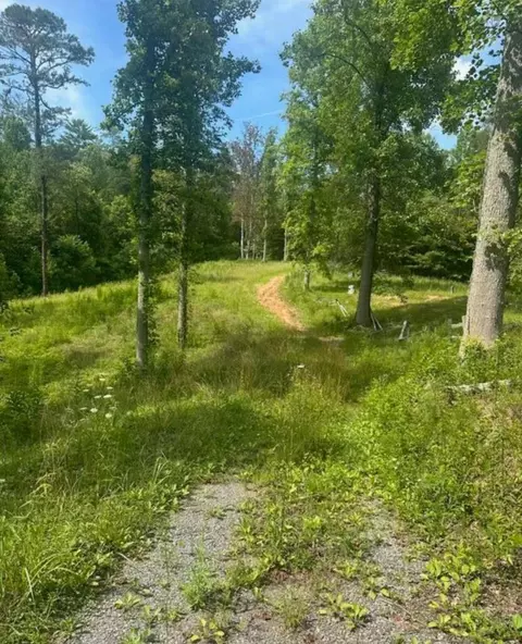 0000 Long Branch Rd, Del Rio, TN 37727