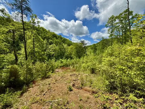 47 Ac Tbd Enoch Rd, Eidson, TN 37731 photo 15