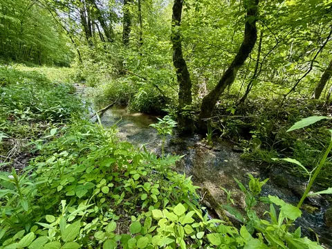47 Ac Tbd Enoch Rd, Eidson, TN 37731 photo 3