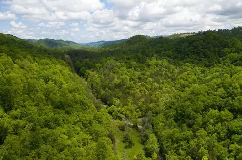 47 Ac Tbd Enoch Rd, Eidson, TN 37731 photo 33