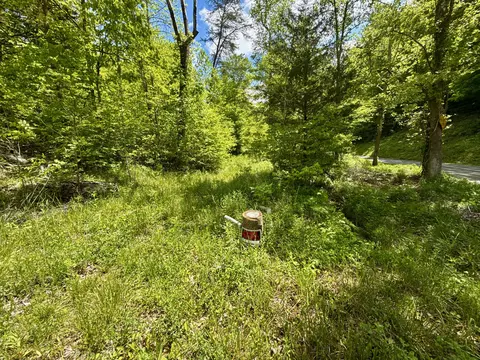 47 Ac Tbd Enoch Rd, Eidson, TN 37731 photo 5