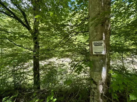 47 Ac Tbd Enoch Rd, Eidson, TN 37731 photo 20