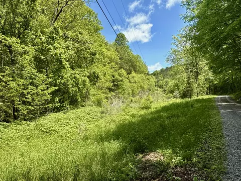 47 Ac Tbd Enoch Rd, Eidson, TN 37731 photo 6