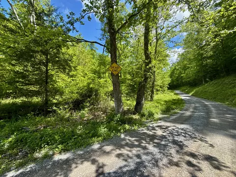 47 Ac Tbd Enoch Rd, Eidson, TN 37731 photo 4