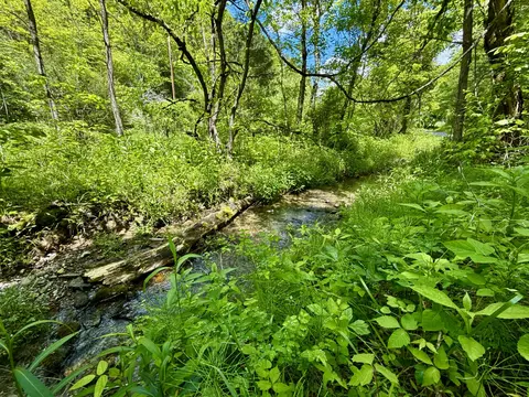 47 Ac Tbd Enoch Rd, Eidson, TN 37731 photo 12