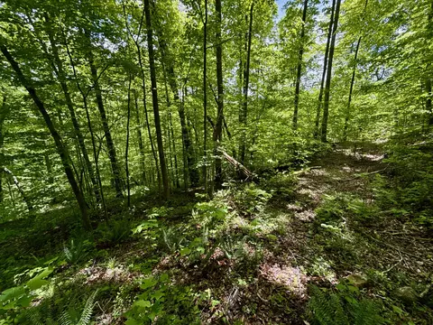 47 Ac Tbd Enoch Rd, Eidson, TN 37731 photo 19