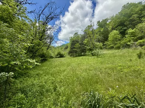 47 Ac Tbd Enoch Rd, Eidson, TN 37731