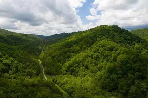 47 Ac Tbd Enoch Rd, Eidson, TN 37731 photo 31