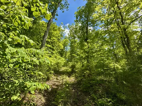 47 Ac Tbd Enoch Rd, Eidson, TN 37731 photo 14