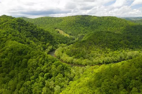 47 Ac Tbd Enoch Rd, Eidson, TN 37731 photo 30