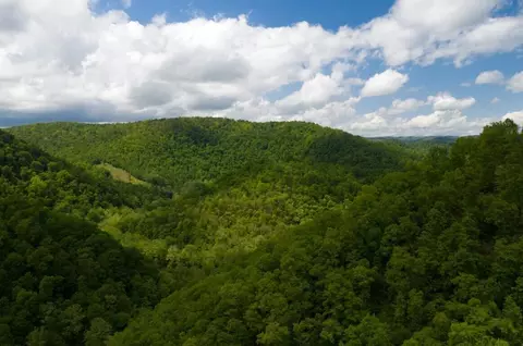 47 Ac Tbd Enoch Rd, Eidson, TN 37731 photo 34
