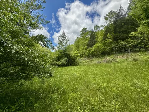 47 Ac Tbd Enoch Rd, Eidson, TN 37731 photo 9