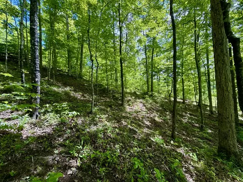 47 Ac Tbd Enoch Rd, Eidson, TN 37731 photo 17