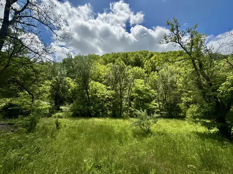47 Ac Tbd Enoch Rd, Eidson, TN 37731 photo 10