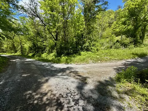 47 Ac Tbd Enoch Rd, Eidson, TN 37731 photo 25