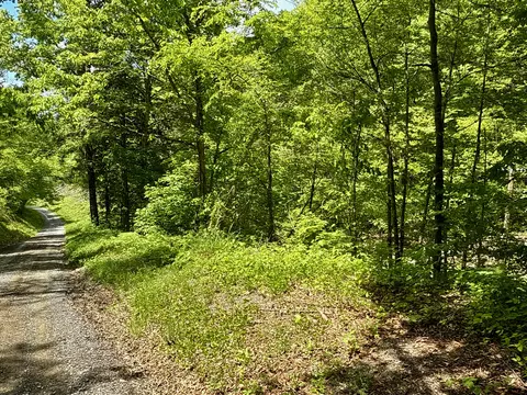47 Ac Tbd Enoch Rd, Eidson, TN 37731 photo 22