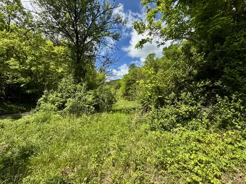 47 Ac Tbd Enoch Rd, Eidson, TN 37731 photo 7