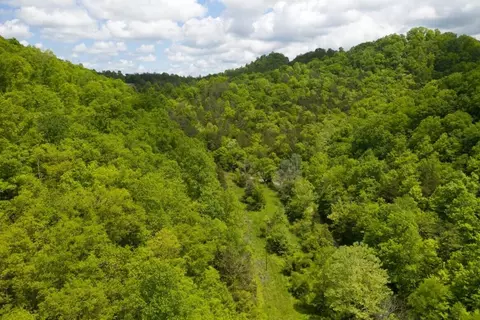 47 Ac Tbd Enoch Rd, Eidson, TN 37731 photo 32