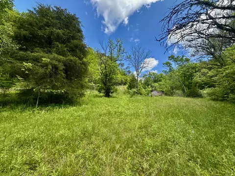 47 Ac Tbd Enoch Rd, Eidson, TN 37731 photo 8