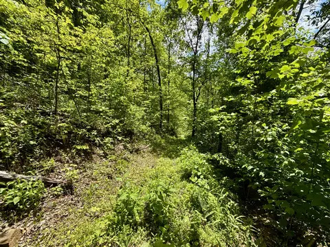 47 Ac Tbd Enoch Rd, Eidson, TN 37731 photo 18