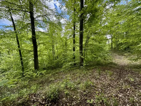 47 Ac Tbd Enoch Rd, Eidson, TN 37731 photo 16