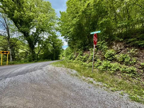 47 Ac Tbd Enoch Rd, Eidson, TN 37731 photo 29