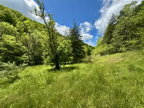 47 Ac Tbd Enoch Rd, Eidson, TN 37731 photo 11