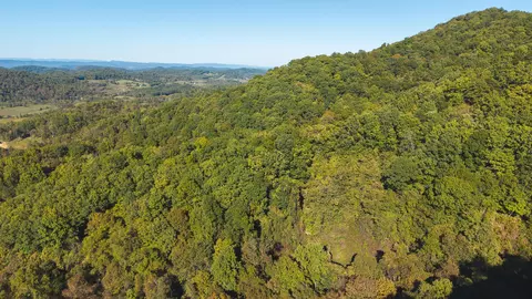 69 26 Acre Wolfe Rd, Sneedville, TN 37869