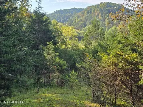 tbd E Pumpkin Valley Rd, Eidson, TN 37731 photo 2