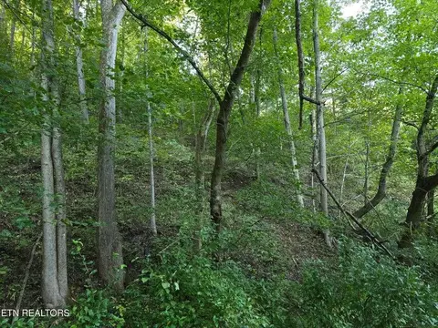 tbd E Pumpkin Valley Rd, Eidson, TN 37731 photo 25