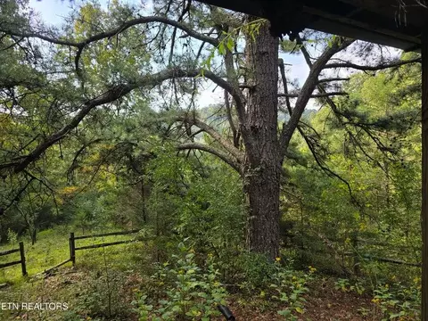 tbd E Pumpkin Valley Rd, Eidson, TN 37731 photo 28