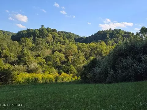 tbd E Pumpkin Valley Rd, Eidson, TN 37731 photo 43