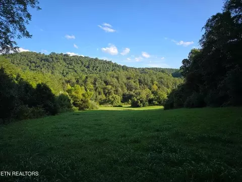 tbd E Pumpkin Valley Rd, Eidson, TN 37731 photo 49