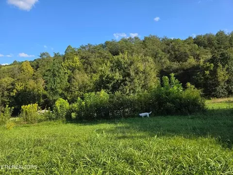 tbd E Pumpkin Valley Rd, Eidson, TN 37731 photo 14