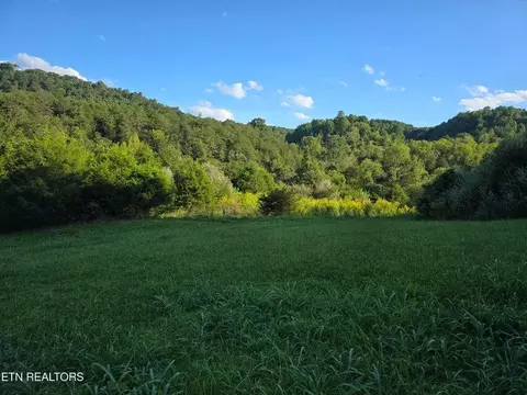 tbd E Pumpkin Valley Rd, Eidson, TN 37731 photo 46