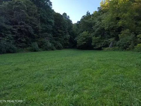 tbd E Pumpkin Valley Rd, Eidson, TN 37731 photo 18