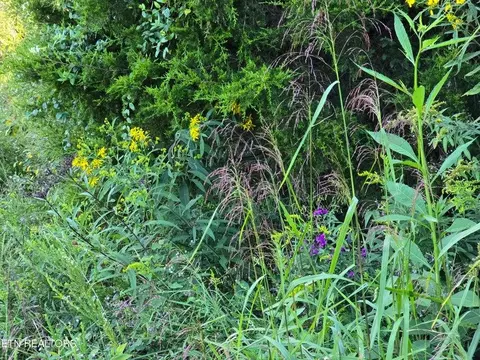 tbd E Pumpkin Valley Rd, Eidson, TN 37731 photo 52