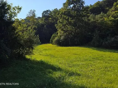 tbd E Pumpkin Valley Rd, Eidson, TN 37731 photo 17