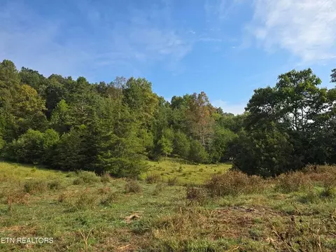 tbd E Pumpkin Valley Rd, Eidson, TN 37731 photo 15