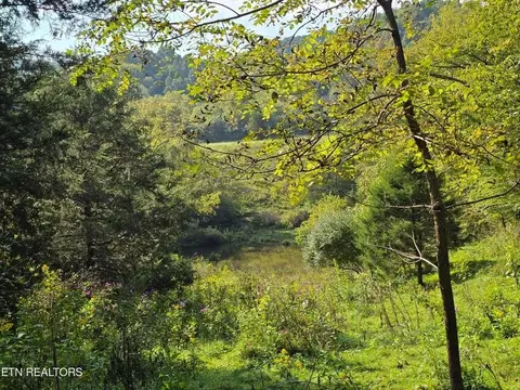 tbd E Pumpkin Valley Rd, Eidson, TN 37731 photo 51