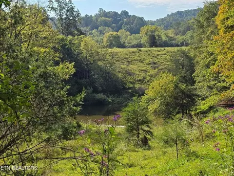 tbd E Pumpkin Valley Rd, Eidson, TN 37731 photo 8
