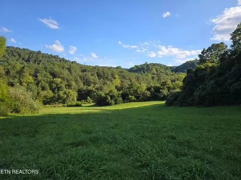 tbd E Pumpkin Valley Rd, Eidson, TN 37731 photo 50