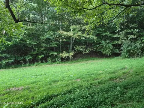 tbd E Pumpkin Valley Rd, Eidson, TN 37731 photo 20