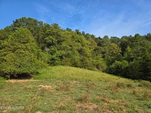 tbd E Pumpkin Valley Rd, Eidson, TN 37731 photo 12