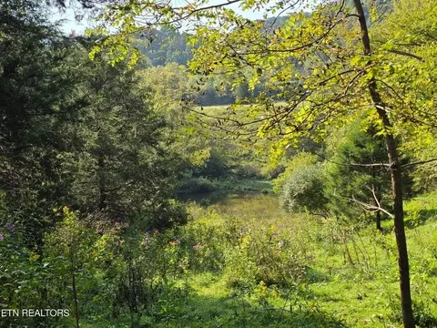 tbd E Pumpkin Valley Rd, Eidson, TN 37731 photo 10