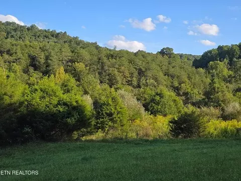 tbd E Pumpkin Valley Rd, Eidson, TN 37731 photo 42