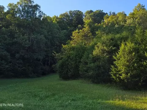 tbd E Pumpkin Valley Rd, Eidson, TN 37731 photo 37