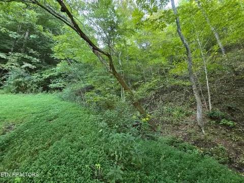 tbd E Pumpkin Valley Rd, Eidson, TN 37731 photo 27
