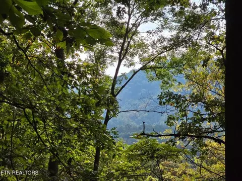 tbd E Pumpkin Valley Rd, Eidson, TN 37731 photo 3
